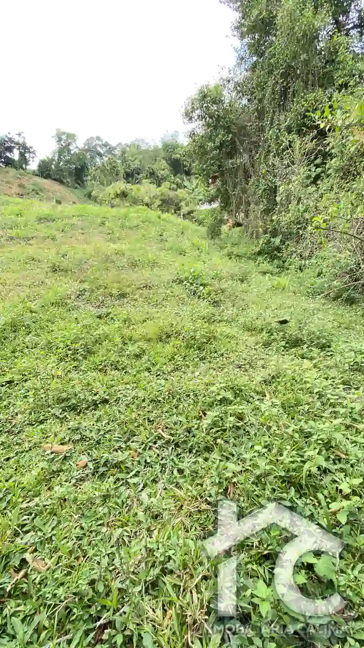 Lote Heidi 01 Jiguales 3800 metros